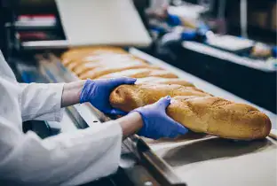 Food Processing